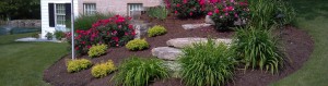 Landscape Design